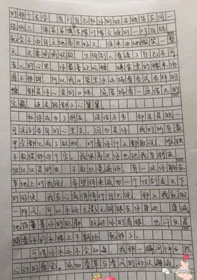 方法   作文