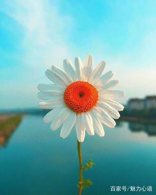 形容散心的句子