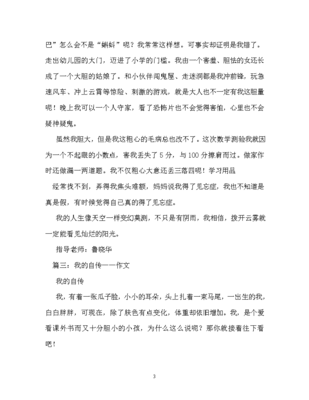 自传的作文