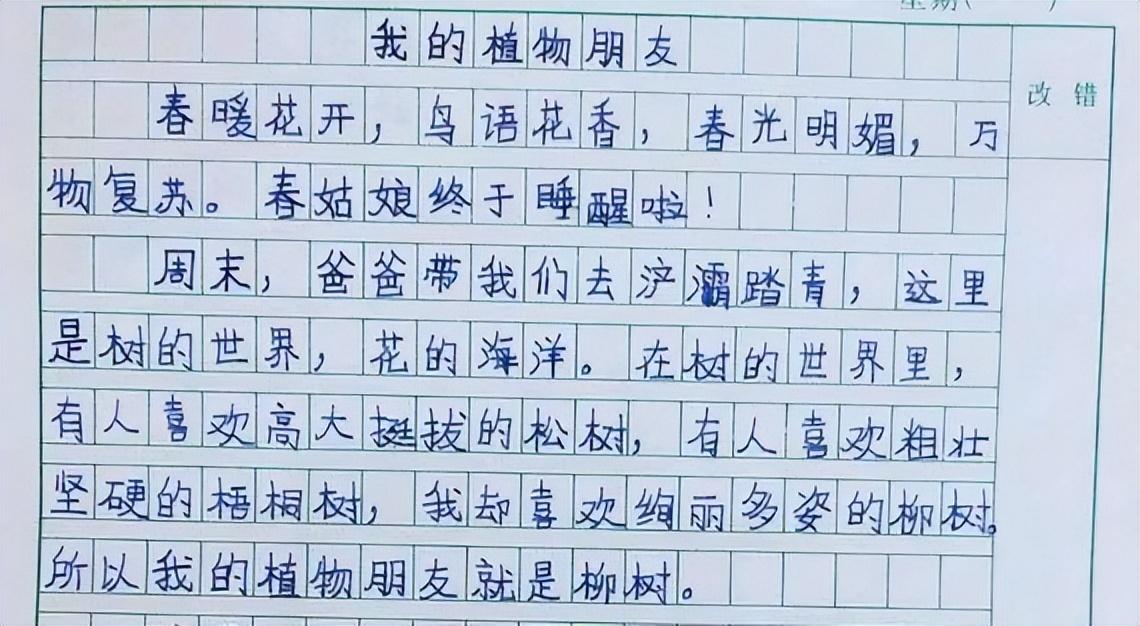 作文立意是什么