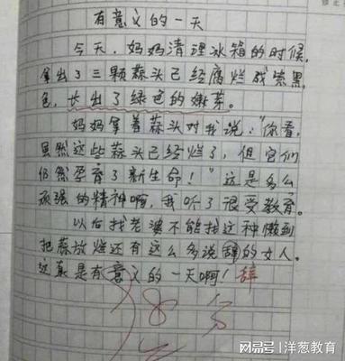 节奏作文