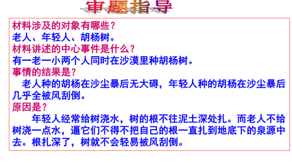 作文立意是什么