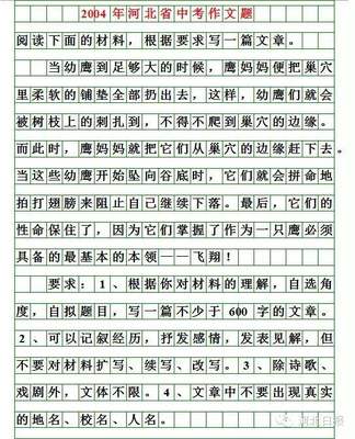 我什么作文