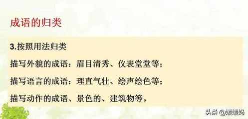 关于外貌描写的成语