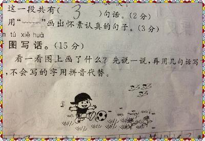 春天小花小草的句子