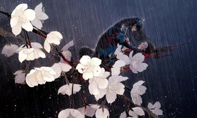 关于下暴雨的句子