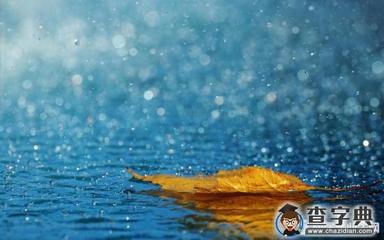 关于下暴雨的句子