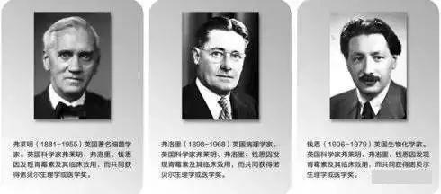 青霉素的发现的故事