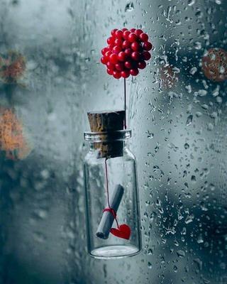 关于下暴雨的句子