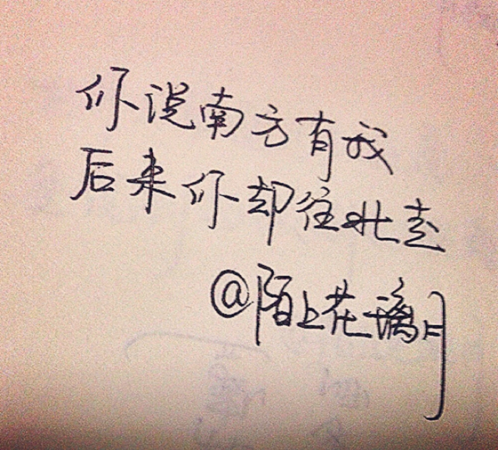 爱情不勉强的经典句子
