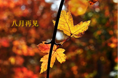 关于再见的句子