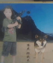 那张照片里的故事