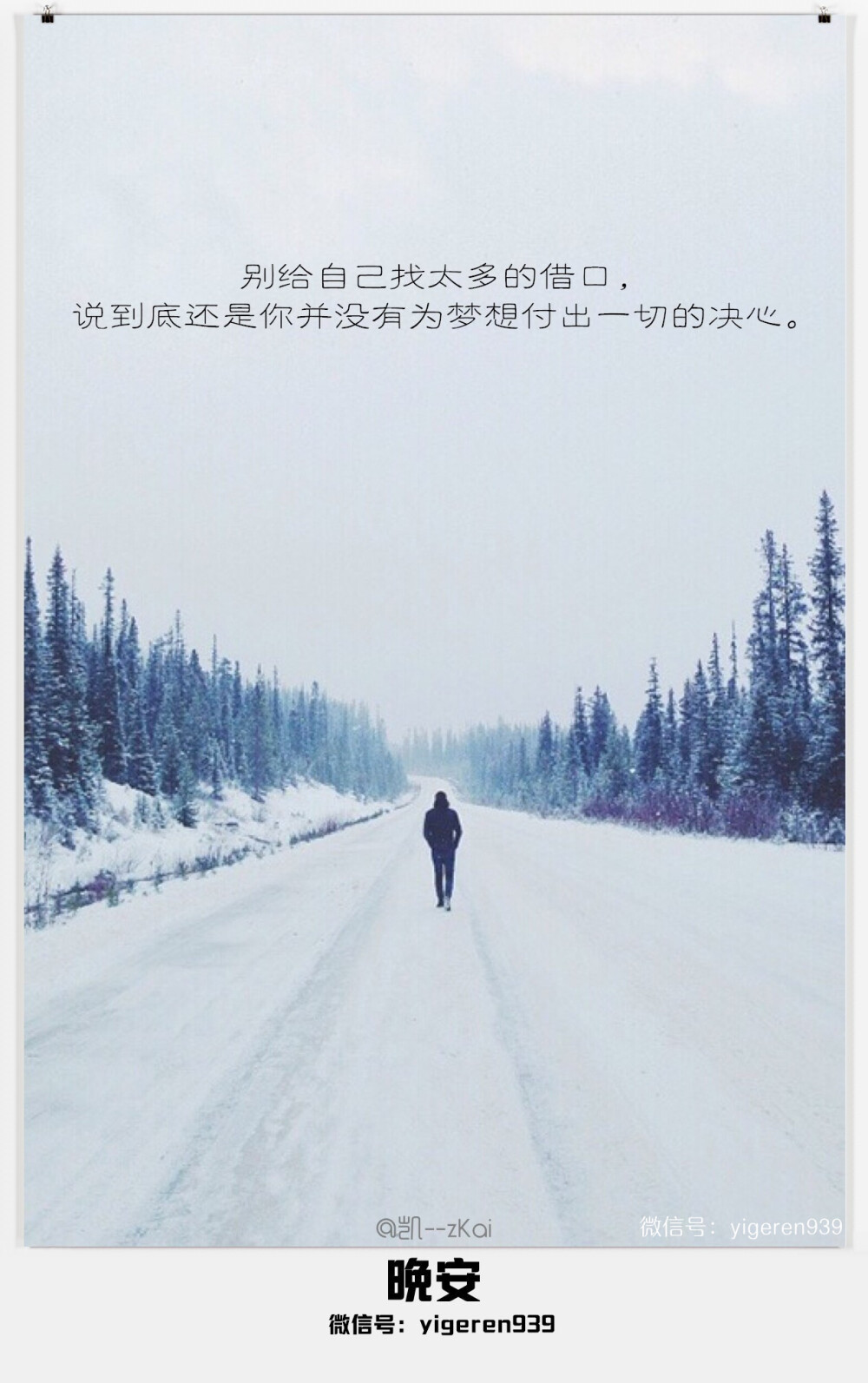 爱情不勉强的经典句子