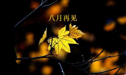 关于再见的句子