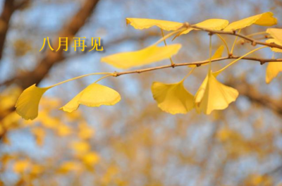 关于再见的句子