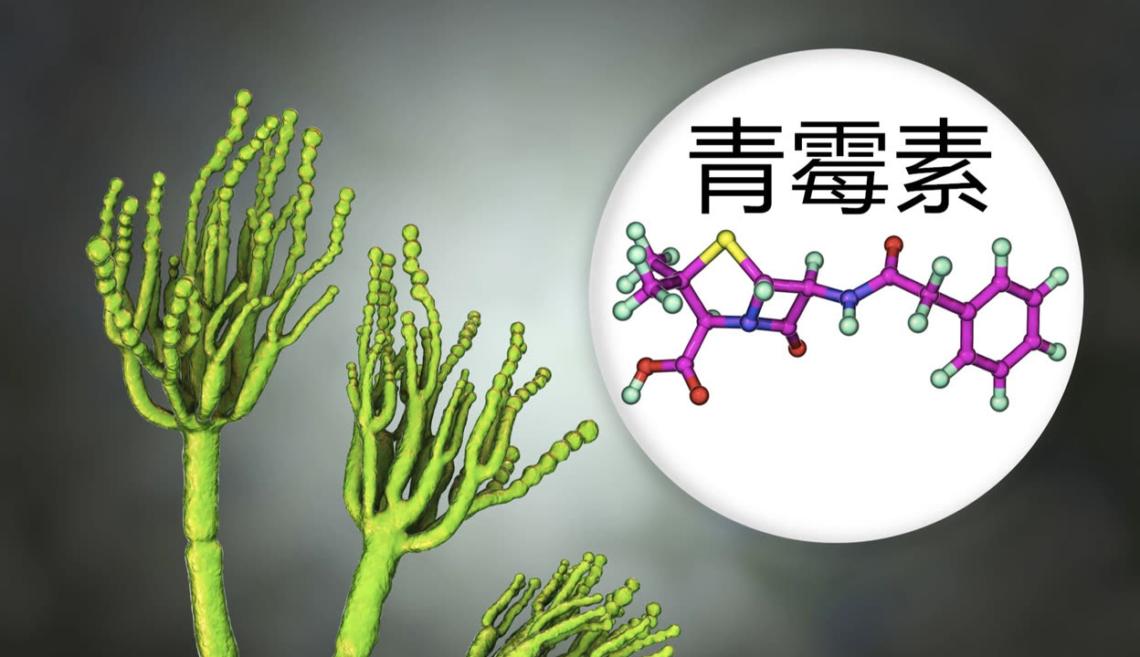 青霉素的发现的故事