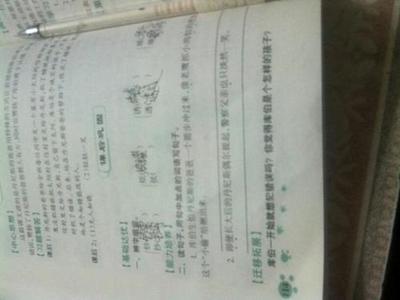 什么似的什么造句子
