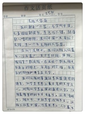 民族团结作文优美题目