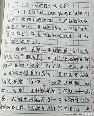上海高考满分作文