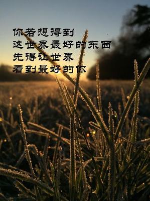 悲痛的句子