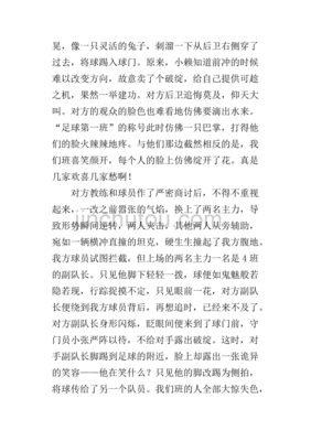 观看足球赛作文