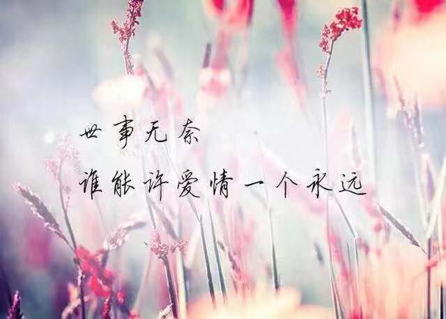 悲痛的句子