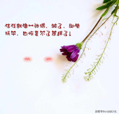 有关沉默的经典句子