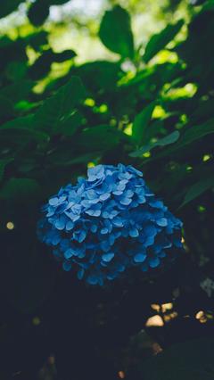 形容纠结的句子