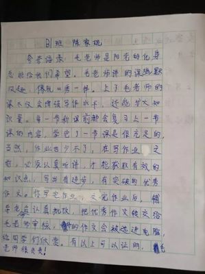 丢作文700字