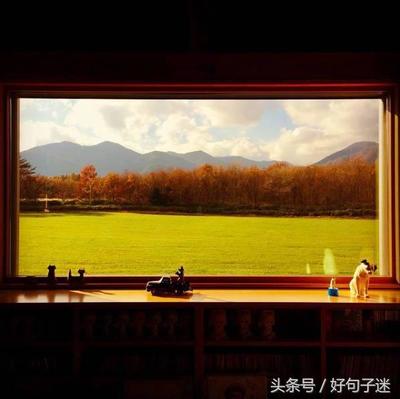 形容一个人笑的句子