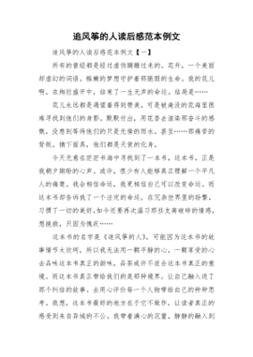 追风筝的人读后感500字