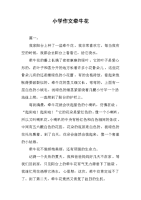 我喜欢牵牛花作文