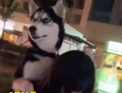 形容狗忠诚的句子