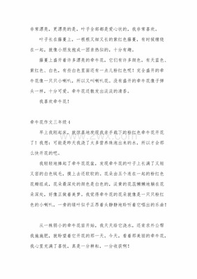 我喜欢牵牛花作文