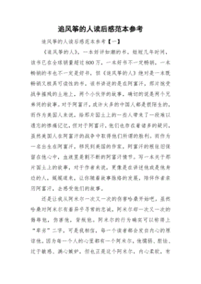 追风筝的人读后感500字