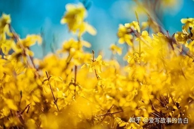 写善良的句子