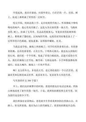 写雪景的作文300字