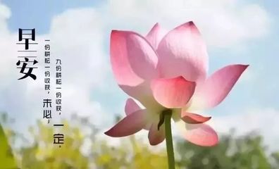 写善良的句子