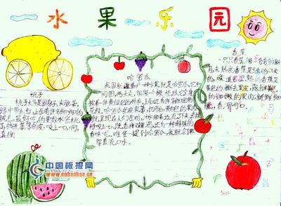 蔬菜的手抄报
