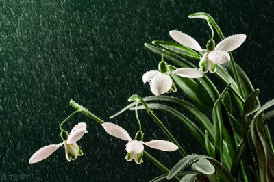 雨的描写唯美句子
