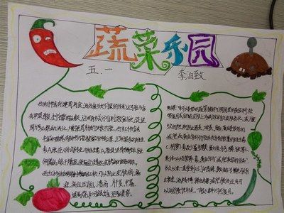 蔬菜的手抄报