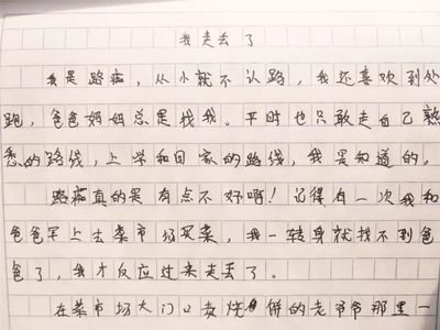 丢作文700字