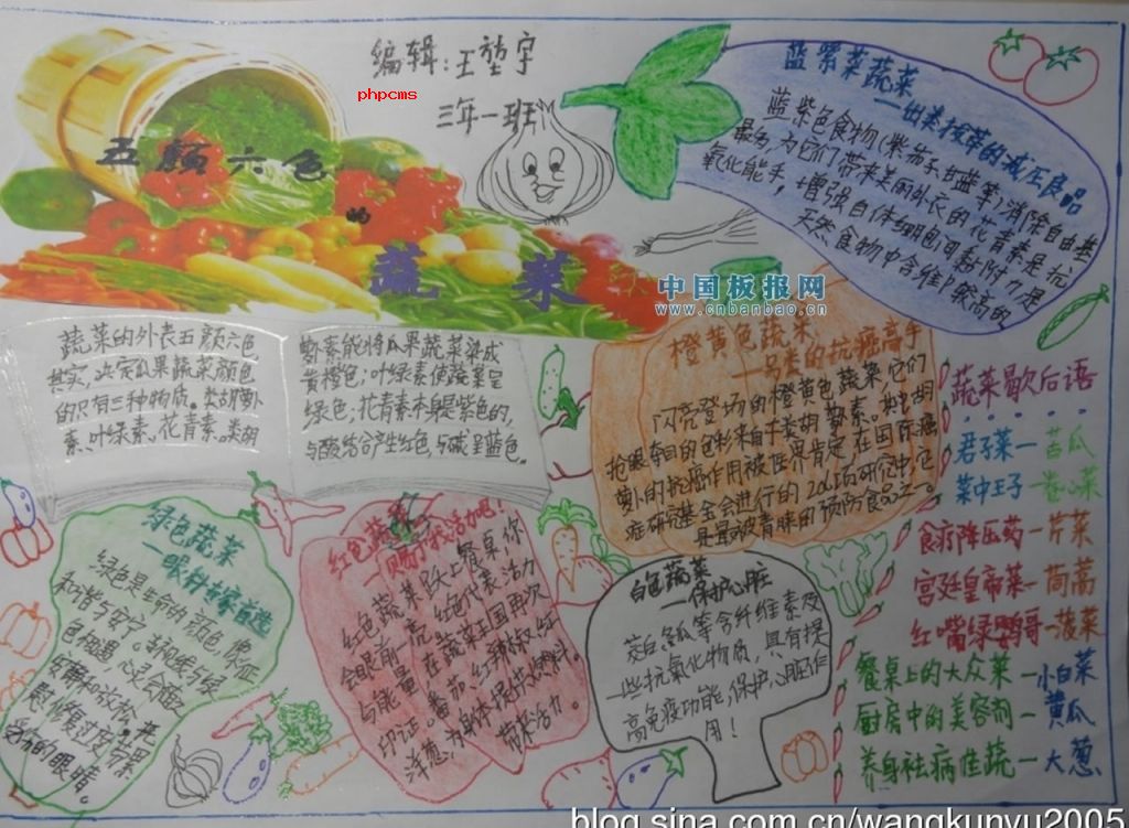 蔬菜的手抄报