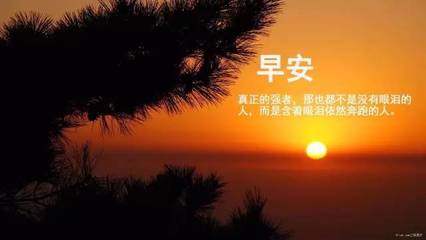 描写奔跑的唯美句子
