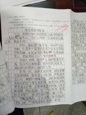 丢作文700字