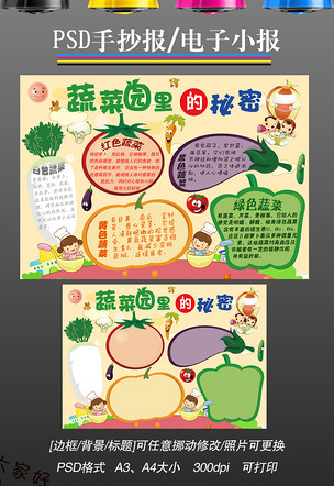 蔬菜的手抄报