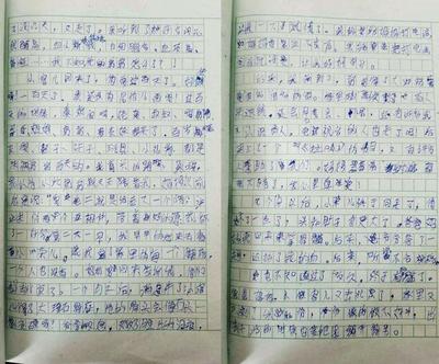 丢作文700字
