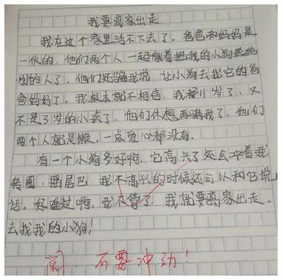 离家出走的作文