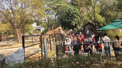 游长沙生态动物园作文