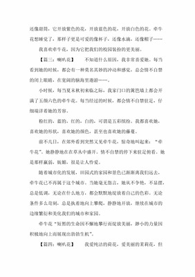我喜欢牵牛花作文